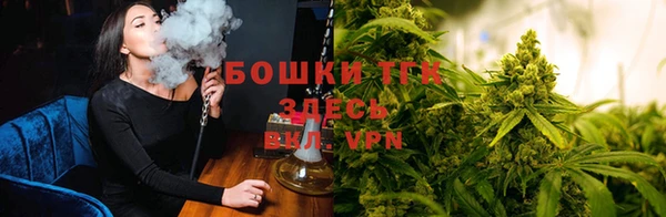 соль ск Армянск