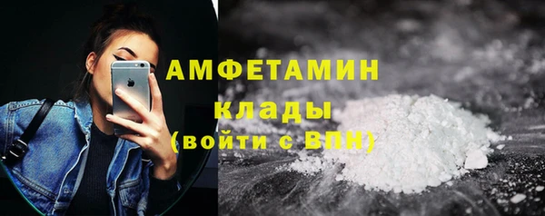 ПСИЛОЦИБИНОВЫЕ ГРИБЫ Арсеньев