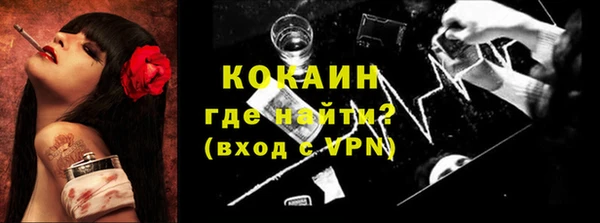 ПСИЛОЦИБИНОВЫЕ ГРИБЫ Арсеньев