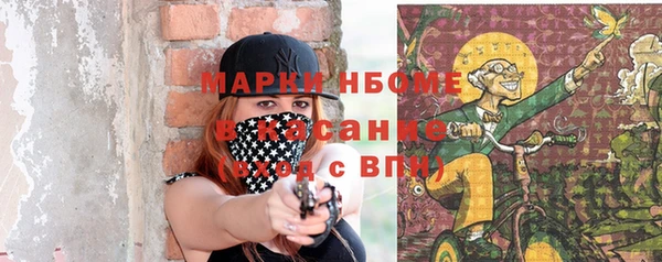 ПСИЛОЦИБИНОВЫЕ ГРИБЫ Арсеньев