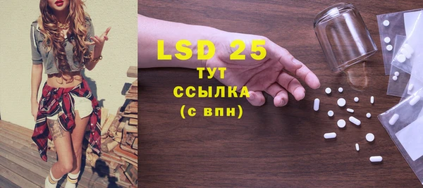 ПСИЛОЦИБИНОВЫЕ ГРИБЫ Арсеньев