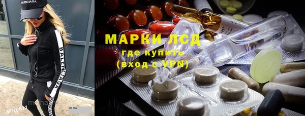 ПСИЛОЦИБИНОВЫЕ ГРИБЫ Арсеньев