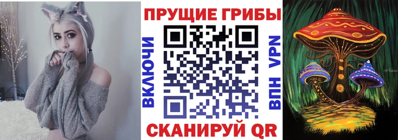 Псилоцибиновые грибы Psilocybine cubensis  как найти наркотики  Ржев 